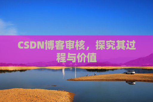 CSDN博客审核,探究其过程与价值
