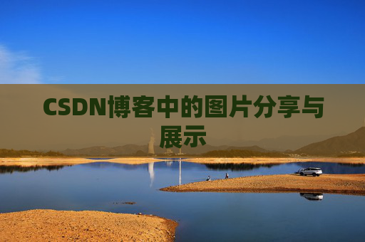 CSDN博客中的图片分享与展示